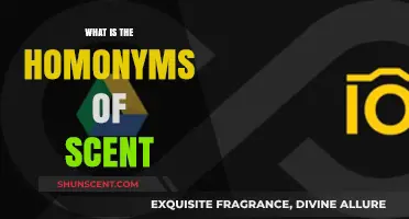 Exploring Homonyms: Unveiling Words That Sound Like 'Scent' But Differ in Meaning