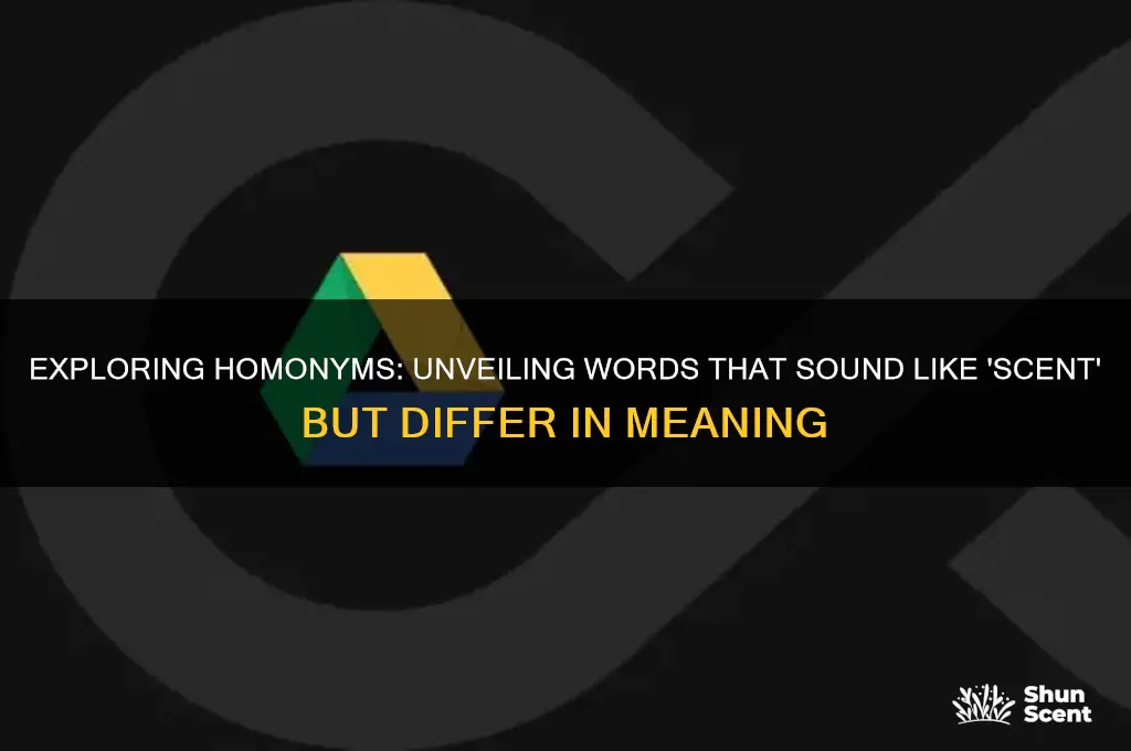 what is the homonyms of scent