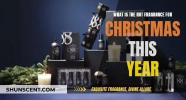 The Hottest Fragrances to Gift This Christmas