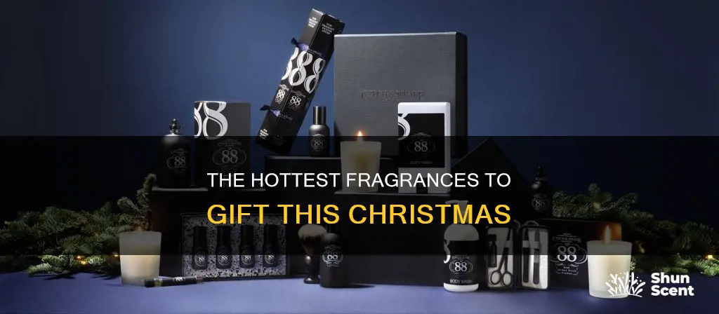 what is the hot fragrance for christmas this year