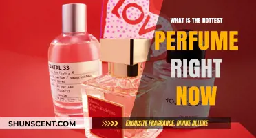 The Hottest Perfumes to Wear Right Now