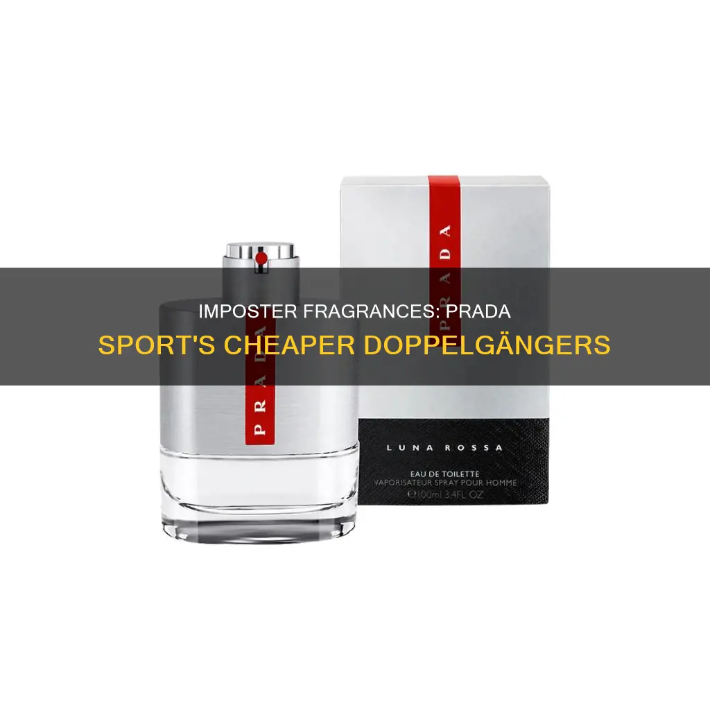 what is the imposter fragrance like prada sport