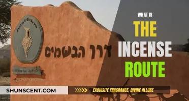 Incense Route: Ancient Trade's Aromatic Trail