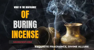 Incense Burning: Ancient Rituals, Modern Benefits