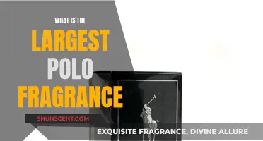 Polo Fragrance: Discovering the Largest Collection