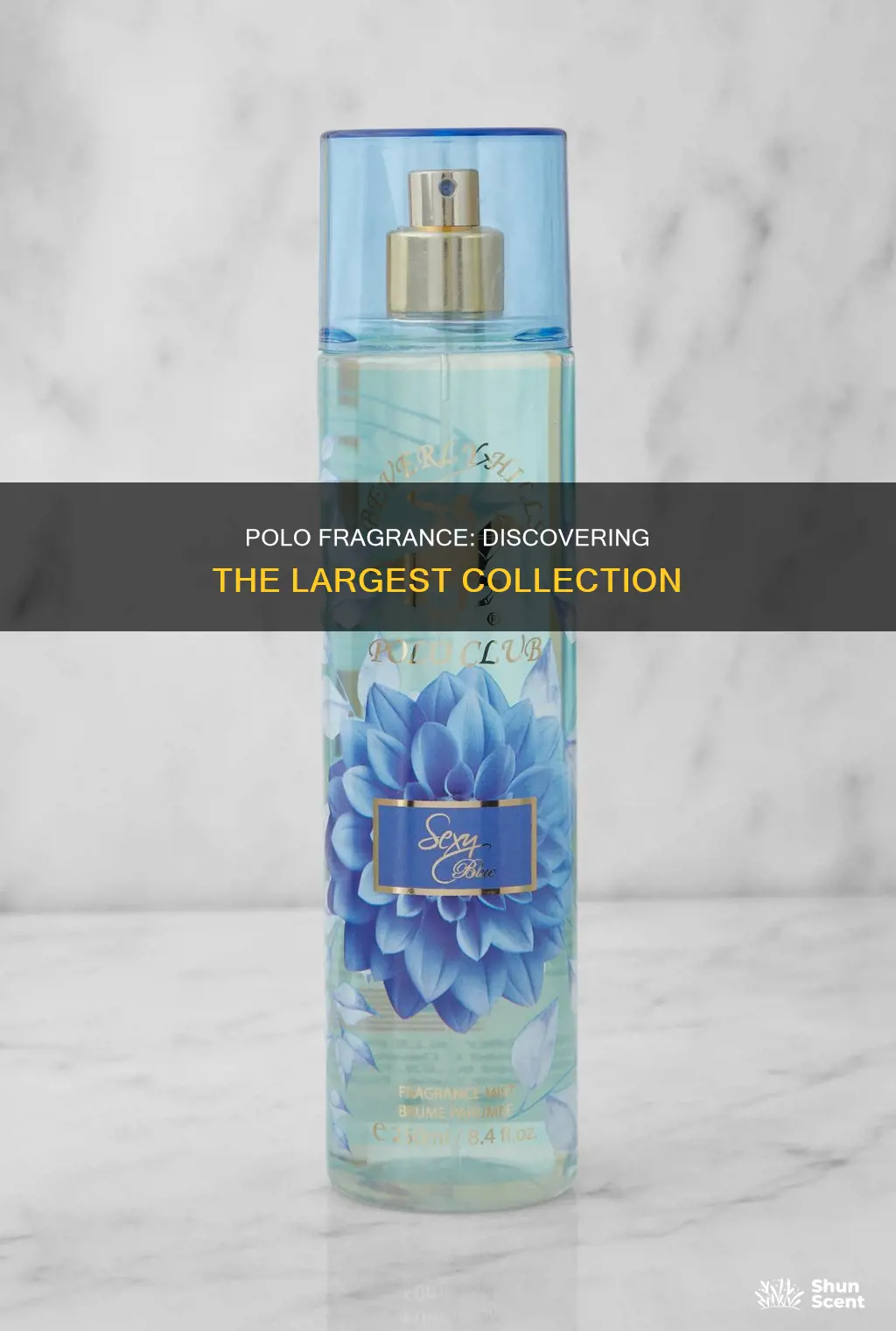 what is the largest polo fragrance