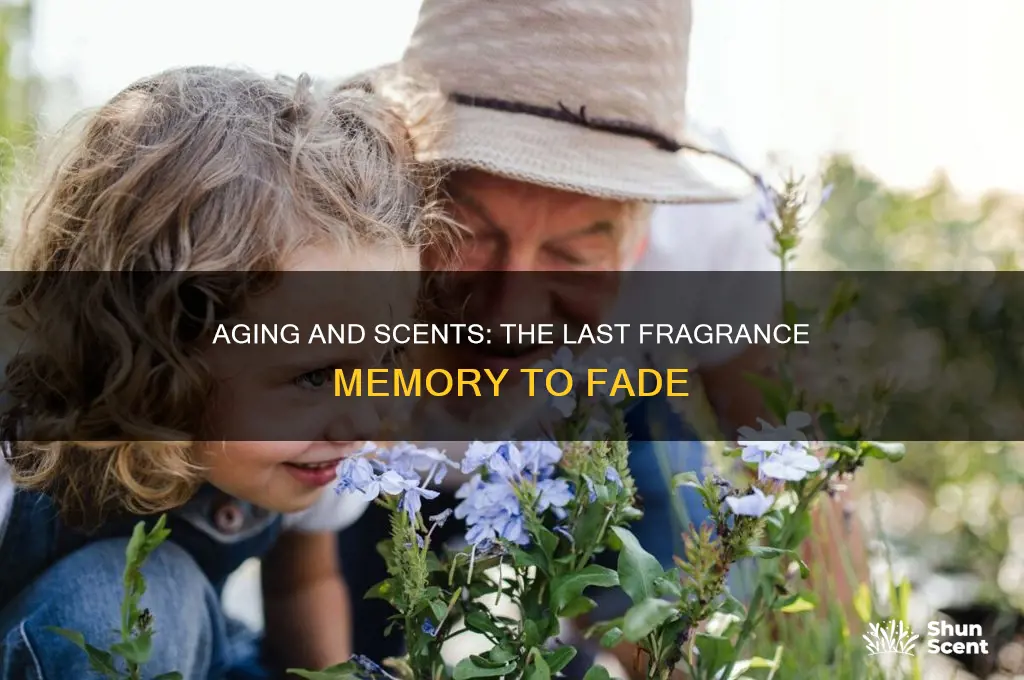 what is the last scent to go when you age