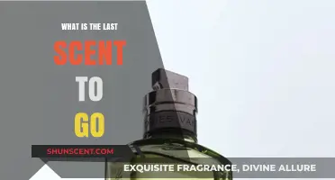 The Last Scent Standing: Which Fragrance Lingers Longest?