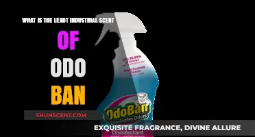 Discover the Least Industrial Scent of OdoBan: A Fresh Perspective