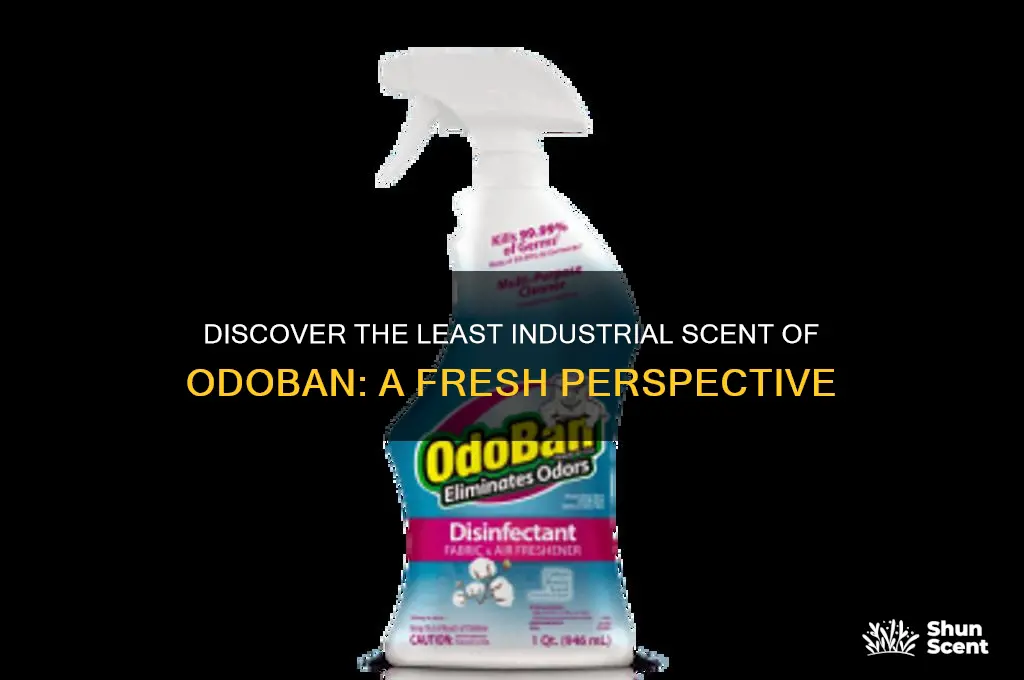 what is the leadt industrial scent of odo ban