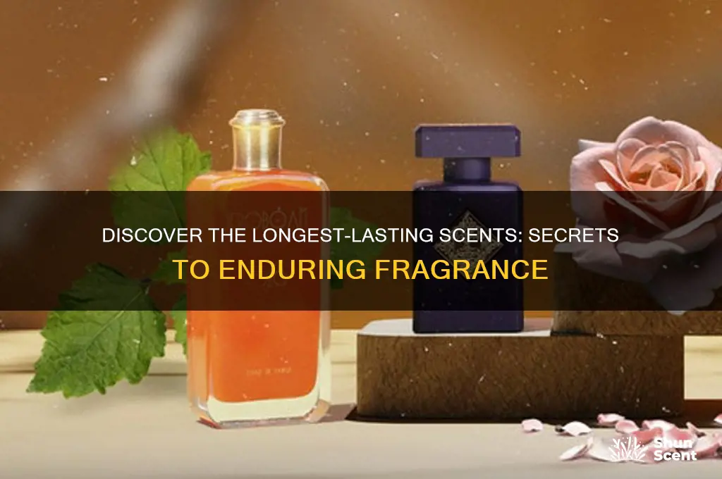 what is the lomgest lasting scent