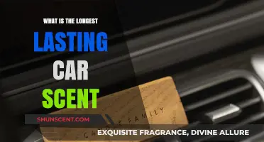 Discover the Longest-Lasting Car Scent for a Fresh Ride