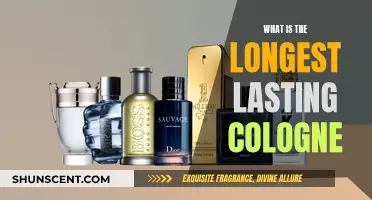 The Ultimate Long-Lasting Colognes: Enduring Fragrances for Men