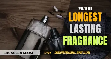 The Ultimate Long-Lasting Fragrance Guide