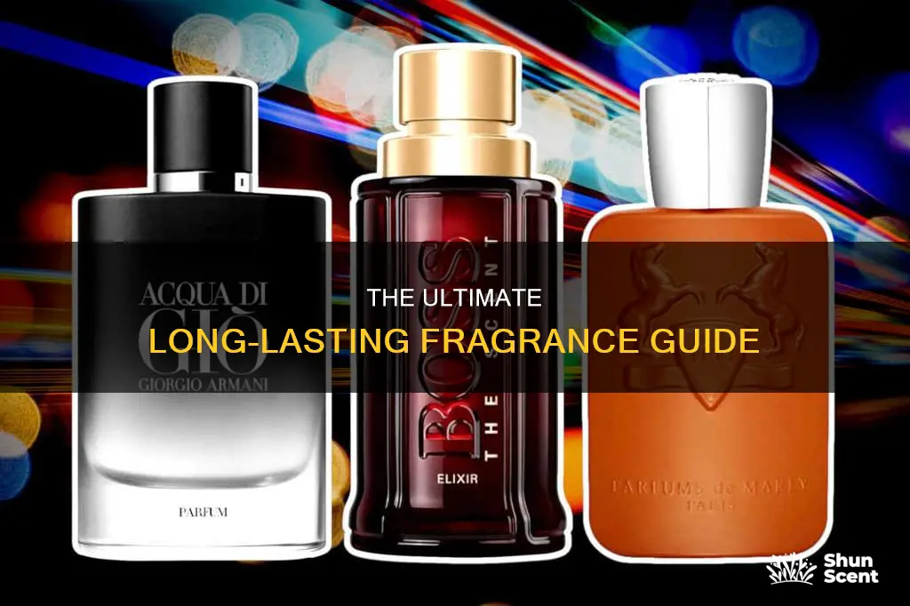 what is the longest lasting fragrance