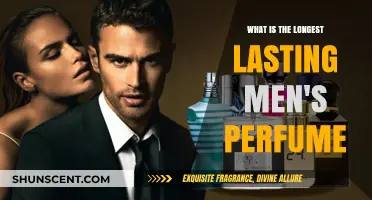 Best Long-Lasting Men's Fragrances: Enduring Scents
