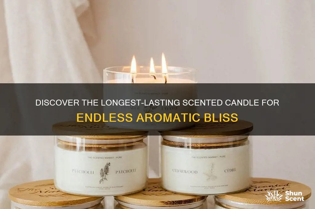 what is the longest lasting scented candle