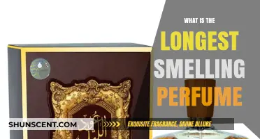 Long-Lasting Scents: Perfumes That Smell Great All Day