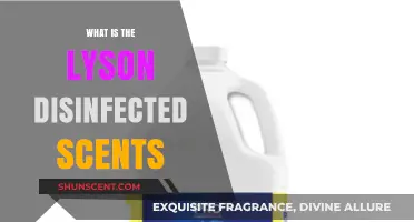 Lysol Disinfected Scents: Understanding Their Purpose, Safety, and Effectiveness