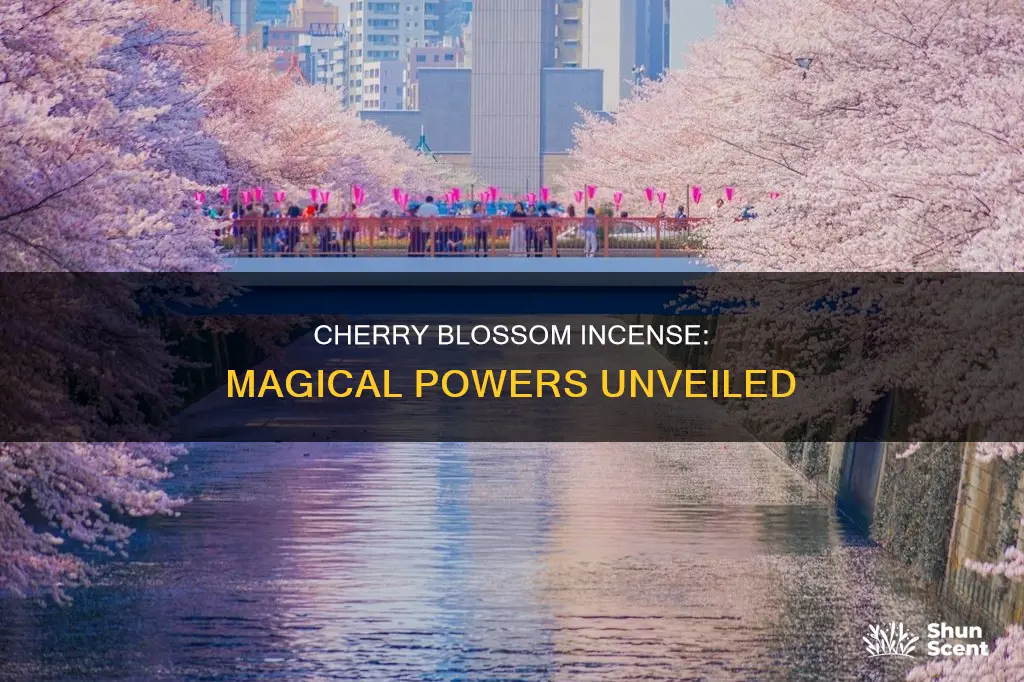 what is the magic properties of cherry blossom incense