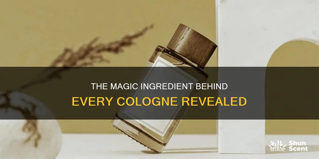 what is the main ingredient in cologne