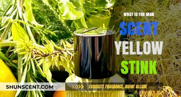 Unveiling the Mystery: Understanding the Man Scent Yellow Stink Phenomenon
