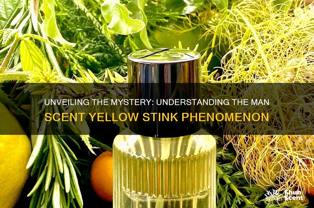 what is the man scent yellow stink