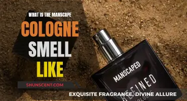 The Manscape Cologne: A Fragrance for the Modern Man