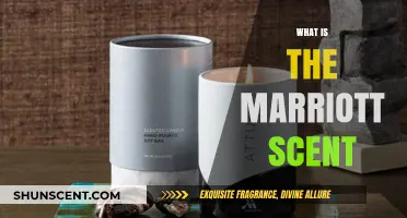 Unveiling Marriott's Signature Scent: A Journey Through Its Iconic Aroma