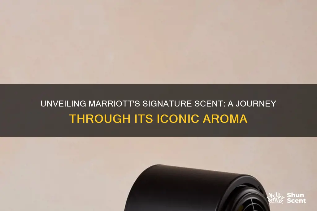 what is the marriott scent