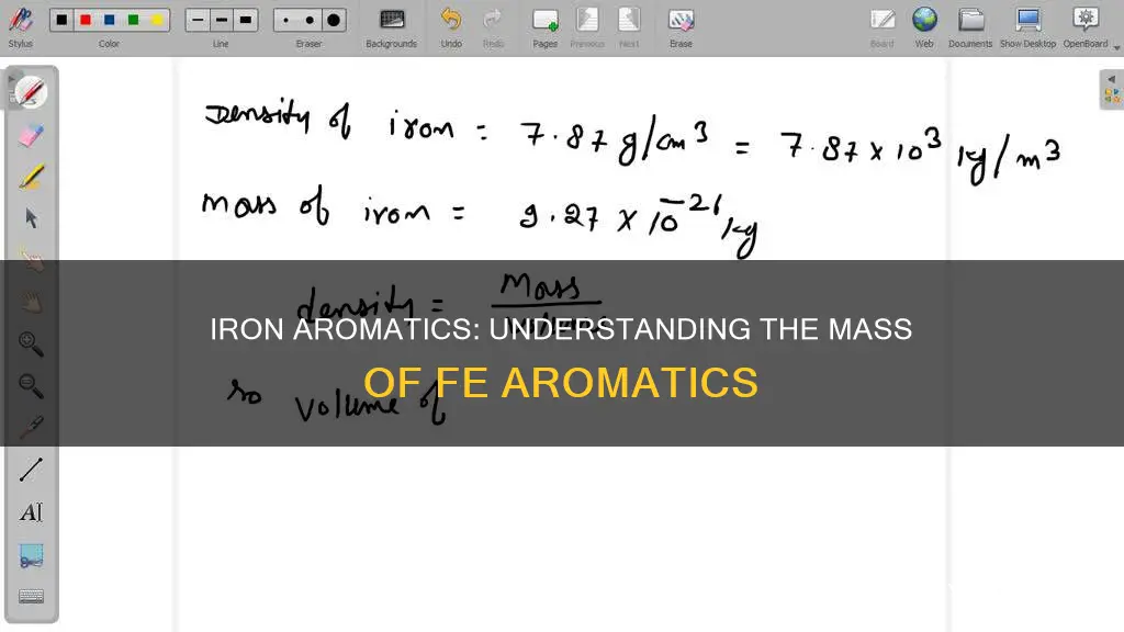 what is the mass in grams of one fe arom