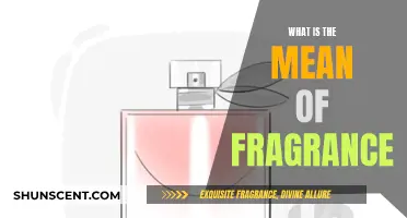 The Intriguing World of Fragrances: Unraveling Their Meanings and Power
