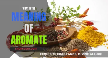 The Aromate Experience: A Fragrant Culinary Adventure