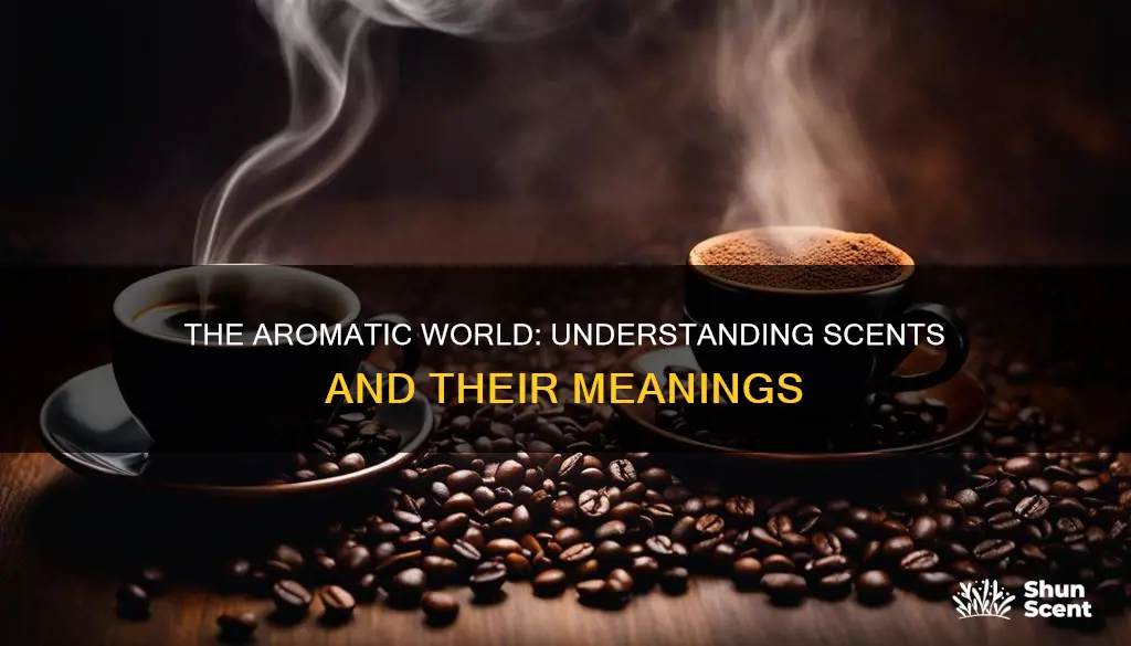 what is the meaning of aromatic