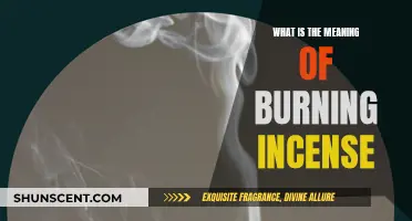 Incense Burning: Ancient Rituals, Modern Relaxation