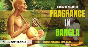 The Sweet Smell of Bangla: Understanding Fragrance