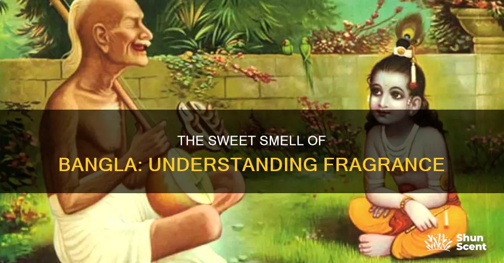what is the meaning of fragrance in bangla