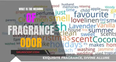 The Fragrance Odor Mystery: Unraveling the Scent's True Meaning