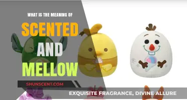 Exploring the Meaning of Scented and Mellow: A Sensory Journey