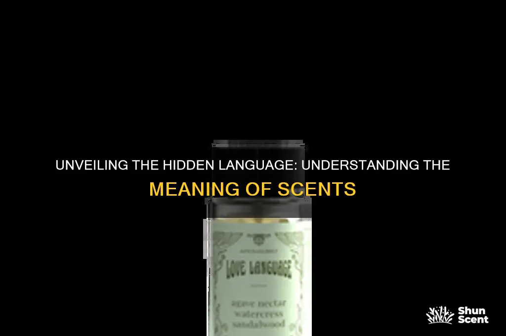 what is the meaning of scents
