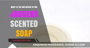 Mr. Jaggers' Scented Soap: Unraveling the Symbolic Cleansing in Great Expectations