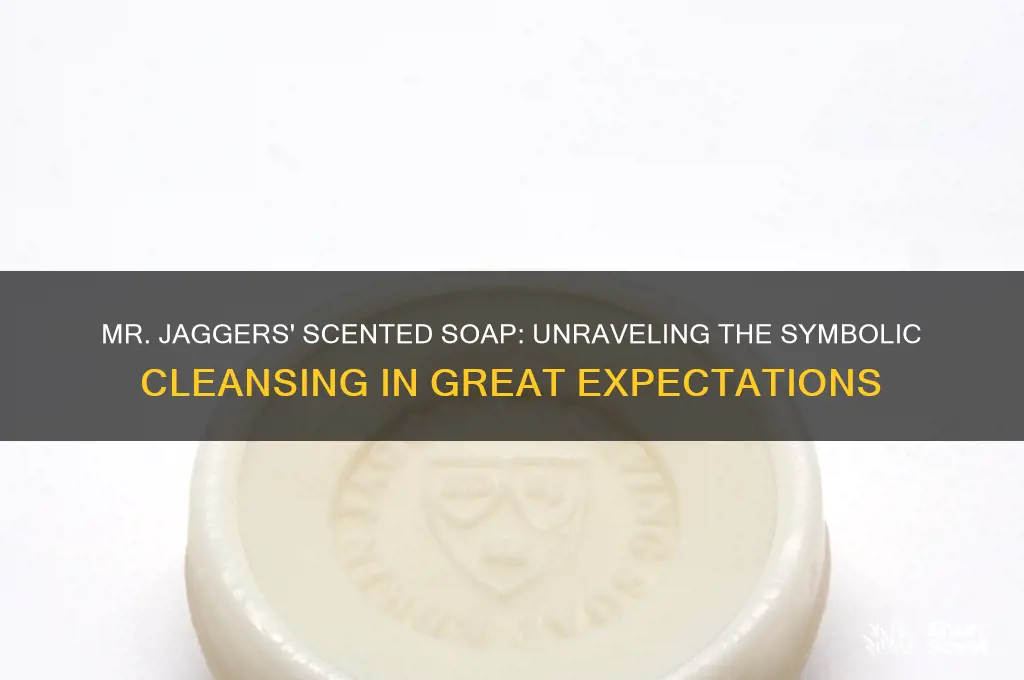 what is the metaphor of mr jaggers scented soap