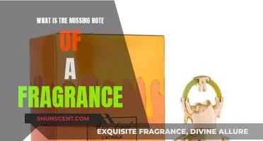 The Mystery of Fragrance: Unveiling Missing Notes