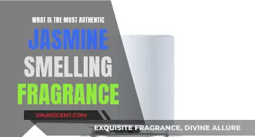 Authentic Jasmine Fragrances: Finding the Perfect Scent