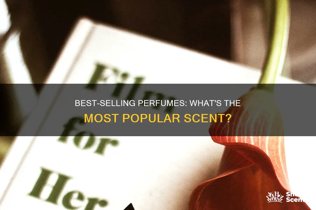 what is the most bought perfume