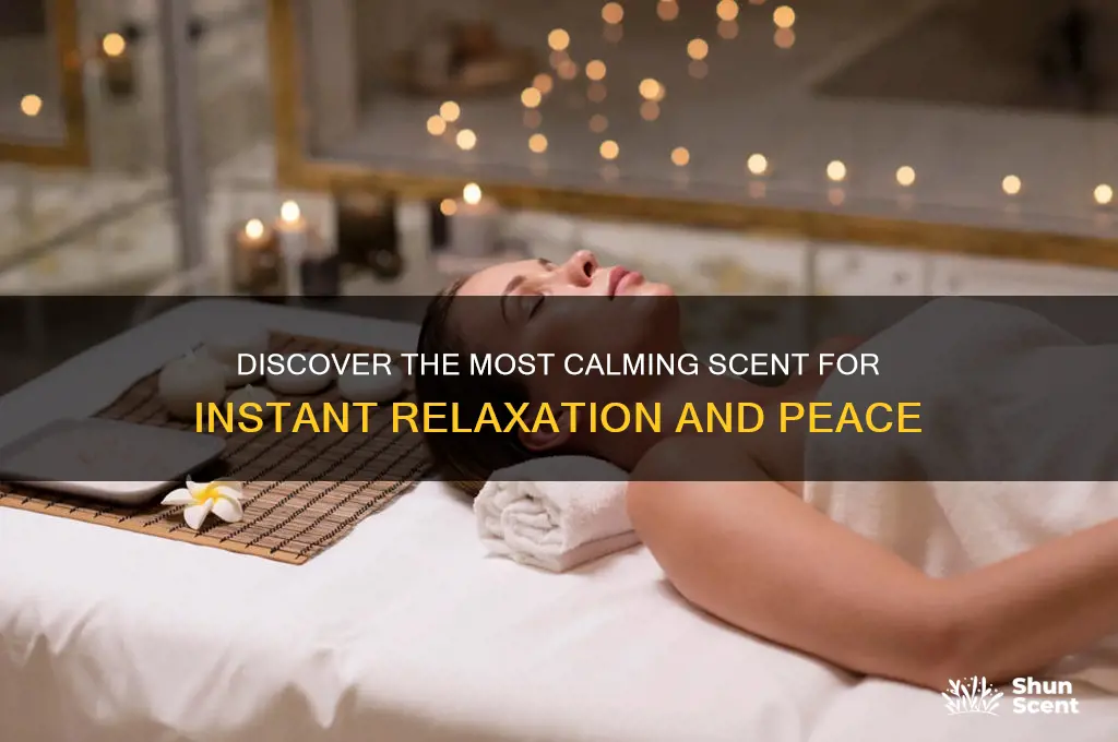 what is the most calming scent