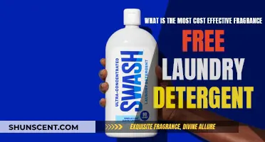 Best Bargain Fragrance-Free Laundry Detergents
