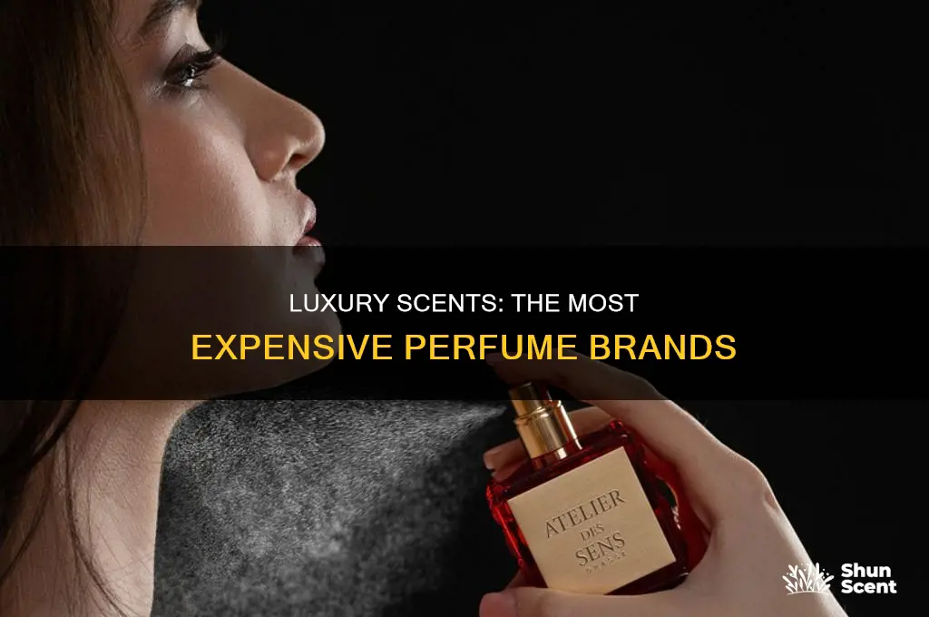 what is the most expensive perfume brand