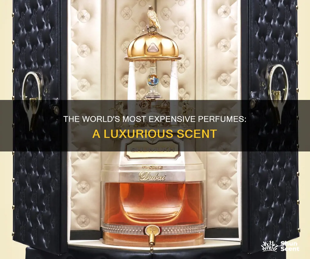 what is the most expensive perfume in the world