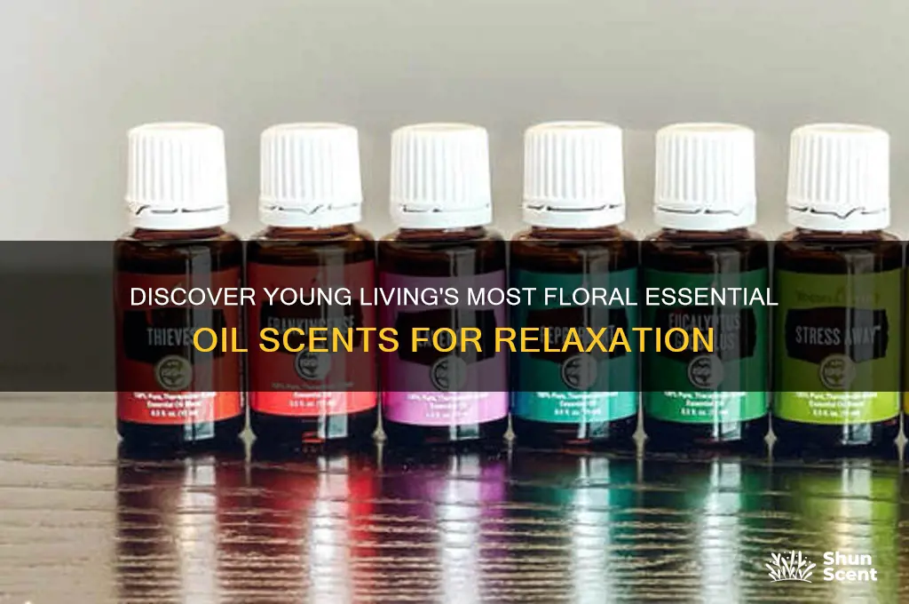 what is the most floral scent of young living oils